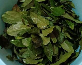 Cendol Daluman (Cincau) - Step 1