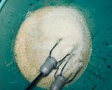 Foto del paso 1 de la receta: Budín de coco🥥