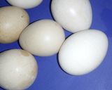 Potato Ball 2matakin girki1 hoto