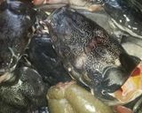 A picture of step 1 of Catfish soup.