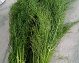 Foto langkah ke 1 dari resep Tumis Daun Dill (Daun Adas).