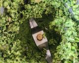 A picture of step 3 of Fresh Green Chana Tuver Vada.