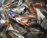 Foto del paso 4 de la receta: Mejillones a la crema