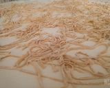 Foto del paso 3 de la receta: Fideos caseros