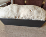 "Hibrid" kovászos kenyér recept fázis 9 fotója