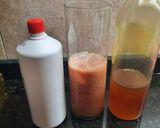 Foto del paso 6 de la receta: Licuado de frutillas, cardamomo miel y mandarina