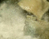 Foto del paso 8 de la receta: Raviolis de setas calabaza y nueces con salsa de puerros y chile