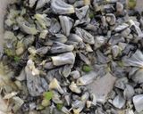 Foto del paso 6 de la receta: Crema de Huitlacoche 🌽🍄