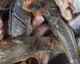 Foto langkah ke 2 dari resep Ikan Lele Marinasi Bumbu Ketumbar (Bumbu Tabur).