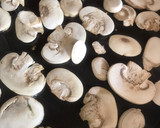 Foto del paso 1 de la receta: Champiñones al ajillo con un toque de orégano, para tapear