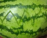 A picture of step 1 of Watermelon Chaat.