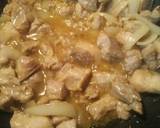 Curried Pork / Lamb Ramen recipe step 3 photo