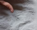 Petrezselyem és kapor télire recept fázis 1 fotója