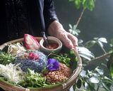 【視頻】純素娘惹藍花飯 Nasi Kerabu的食譜步驟34照片
