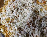 ચીઝ વેફર (Cheese Wafer Recipe In Gujarati) રેસીપી સ્ટેપ1ફોટો