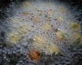 Banana-Methi-Palak-Paneer Gota recipe step 5 photo