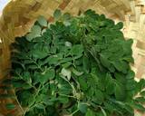 Cara Membuat Moringa Tea Teh Daun Kelor 1