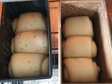Shokupan with Poolish - versi 1