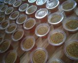 Foto langkah ke 8 dari resep Pudding Lumut Gula Merah Antigagal.