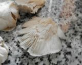Foto del paso 1 de la receta San jacobos de setas con salsa de piquillos