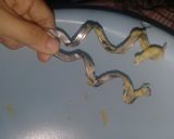 Foto langkah ke 2 dari resep Roti sobek isi keju.