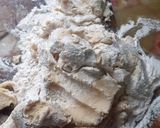 Foto del paso 1 de la receta: Titas caseras😃