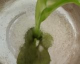 Foto langkah ke 1 dari resep Jelly Cincau Pandan.