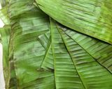 Foto del paso 4 de la receta: Pasteles en hoja Dominicanos