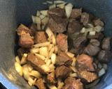 Foto del paso 2 de la receta: Guiso de estofado de ternera al aroma de anís con Olla GM modelo H