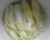 Foto langkah ke 1 dari resep Kimchi suka".