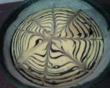 صورة لخطوة 1 من وصفة كيكة الزيبرا