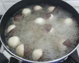 चॉकलेट रसगुल्ला रेसिपी चरण 11 फोटो