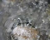 A picture of step 3 of Orange juice.