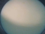 Rasgulla