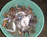 Foto langkah ke 1 dari resep Kepting Asam Manis Pedas🦀.