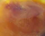 Foto del paso 2 de la receta: Pastel imposible (Chocoflan) 🍮