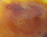 Foto del paso 2 de la receta: Pastel imposible (Chocoflan) 🍮