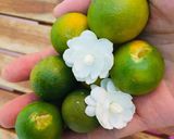 Hình bước làm 1 của món Nước tắc mật ong hoa nhài tươi