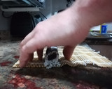 Foto del paso 13 de la receta: Maki sushi de atún paso a paso