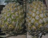 Foto langkah ke 1 dari resep Selai nanas (isian nastar).