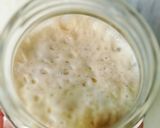 Foto langkah ke 2 dari resep Sourdough starter / ragi alami / natural yeast.