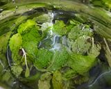 A picture of step 2 of Mint Margarita.