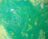 A picture of step 6 of Royal icing Pastries.