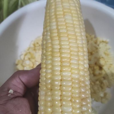 Langkah 1