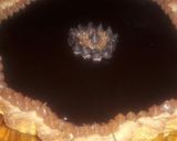 Foto del paso 12 de la receta: Tarta Cabsha😍