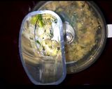 A picture of step 5 of Chicken Hary Bhary Kabab.