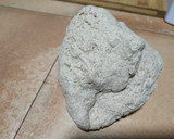 Foto del paso 4 de la receta: Pan de Espelta integral