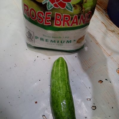Langkah 1