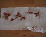 鹽漬櫻花紅豆麵包的食譜步驟1照片