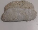 Foto langkah ke 15 dari resep Moringa Wijen Jinten Hitam Chili Flakes Cheese Sourdough Bread (Open Bake Method).